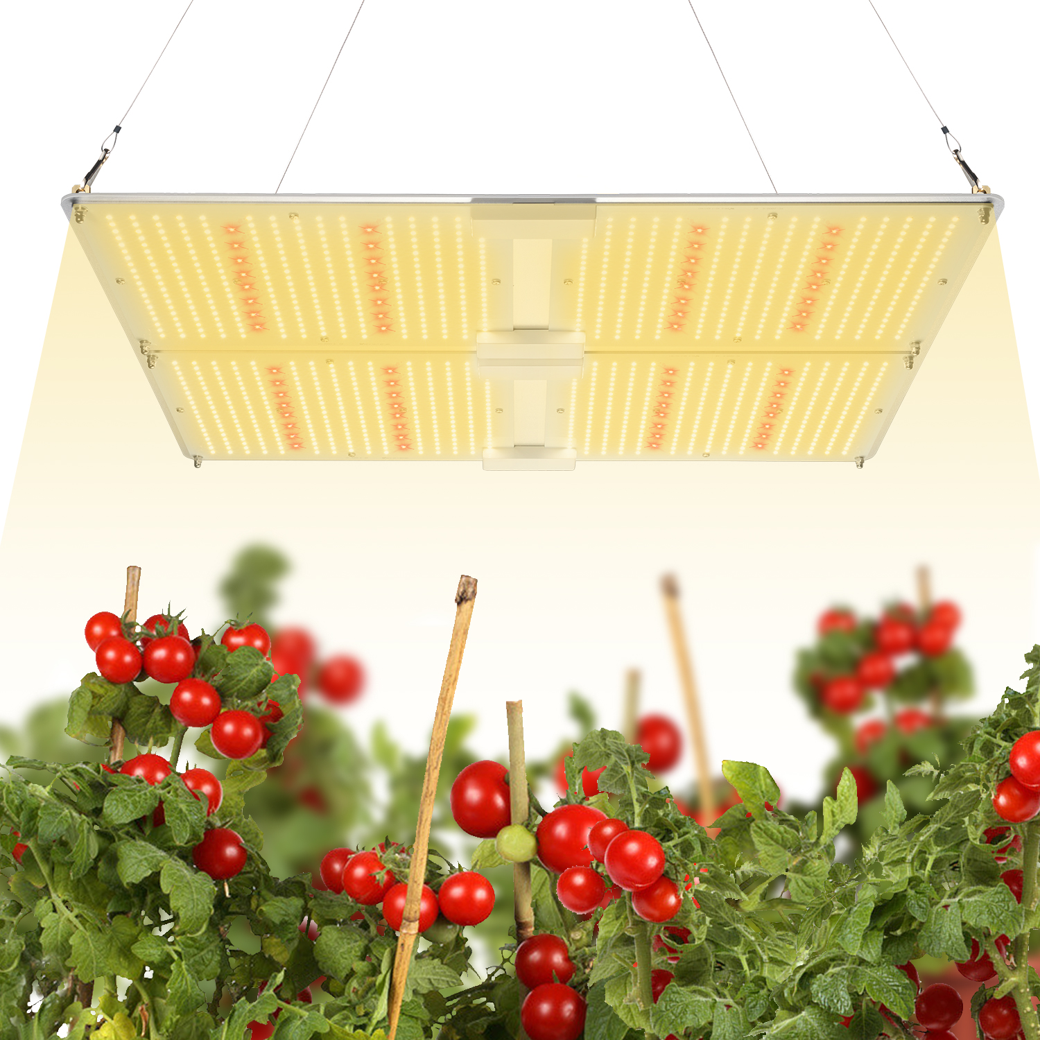 艾博特YC系列4000G詳情頁