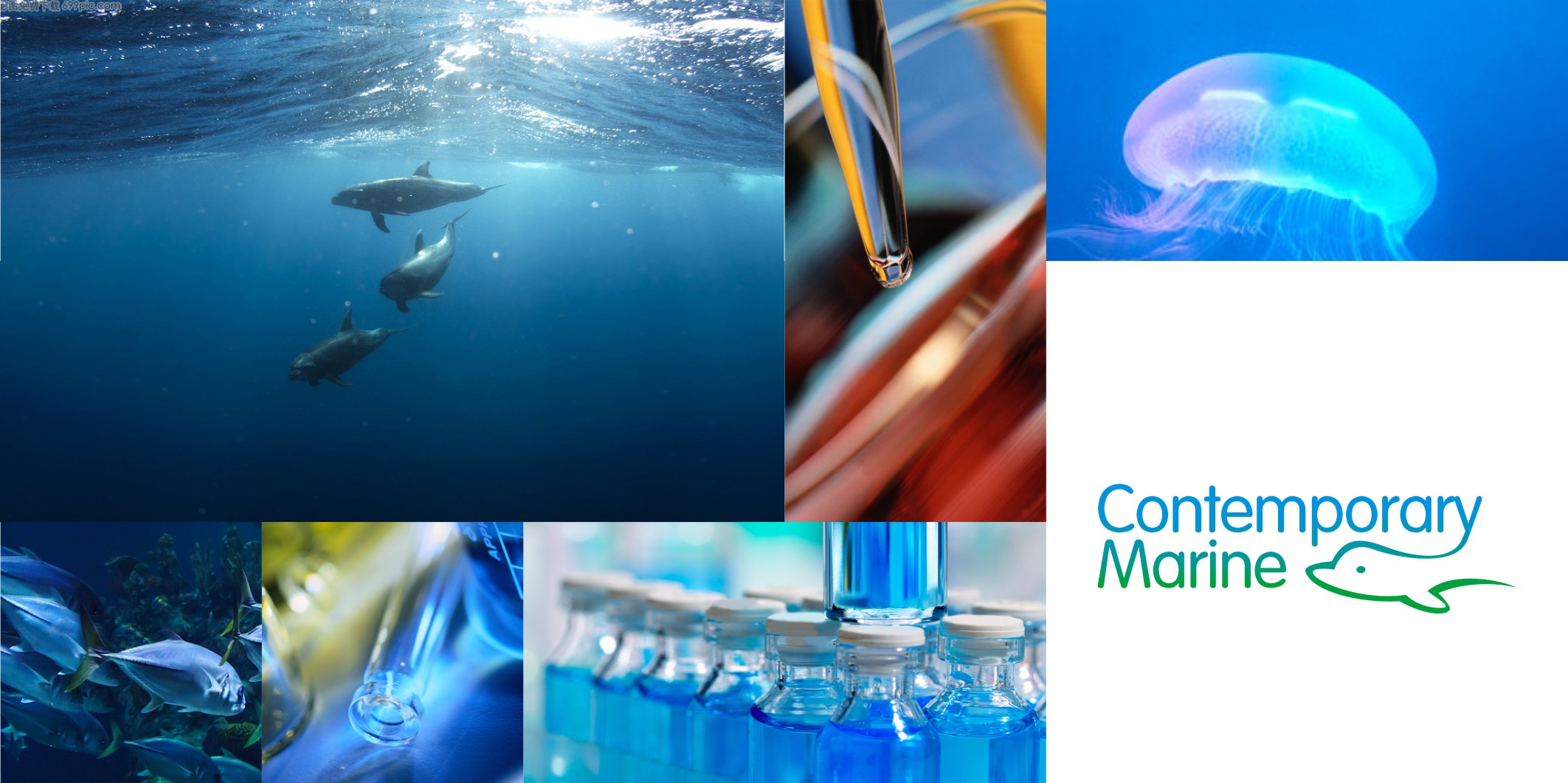 品牌logo標(biāo)志設(shè)計(jì)公司,上海logo設(shè)計(jì)公司專業(yè)企業(yè)logo設(shè)計(jì)、標(biāo)志設(shè)計(jì)、商標(biāo)設(shè)計(jì)、公司logo設(shè)計(jì),產(chǎn)品logo設(shè)計(jì)