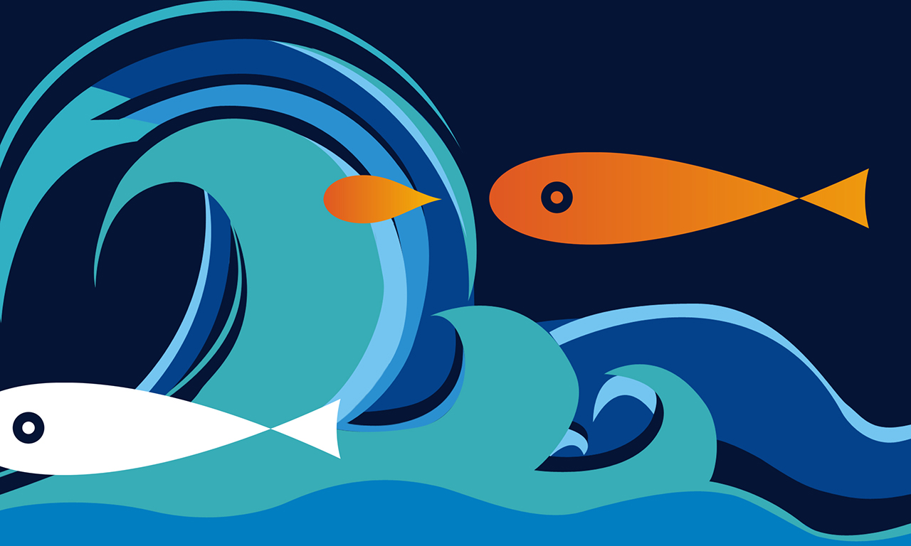 深圳高端企業(yè)LOGO設(shè)計(jì),品牌VI設(shè)計(jì)，企業(yè)VI升級(jí),卡通IP設(shè)計(jì),吉祥物設(shè)計(jì),網(wǎng)站設(shè)計(jì),畫(huà)冊(cè)設(shè)計(jì),包裝設(shè)計(jì)