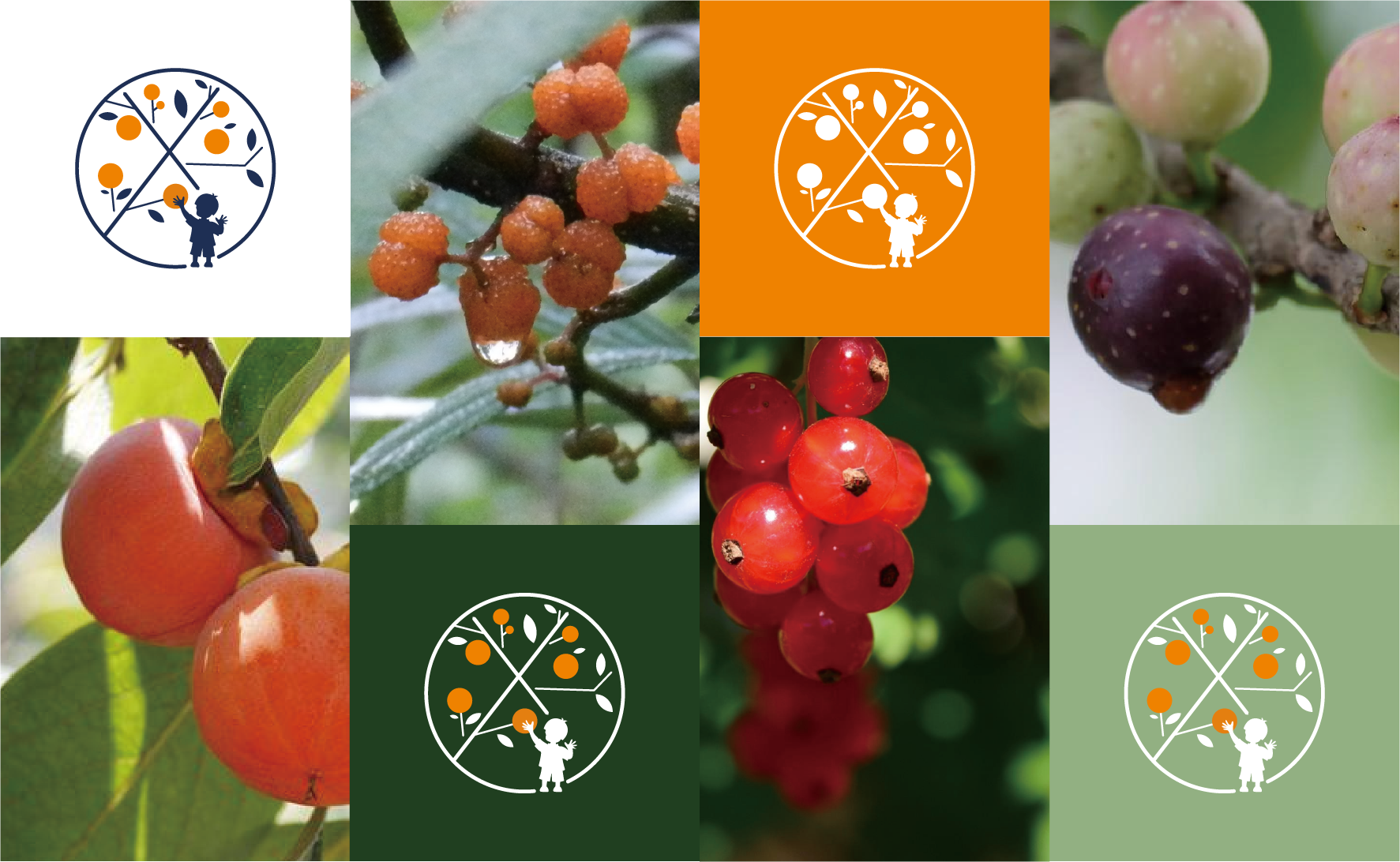 喜山分子果汁品牌VI設計,水果茶品牌商標設計，飲品標志logo設計，設計LOGO開店，奶茶商標設計注冊