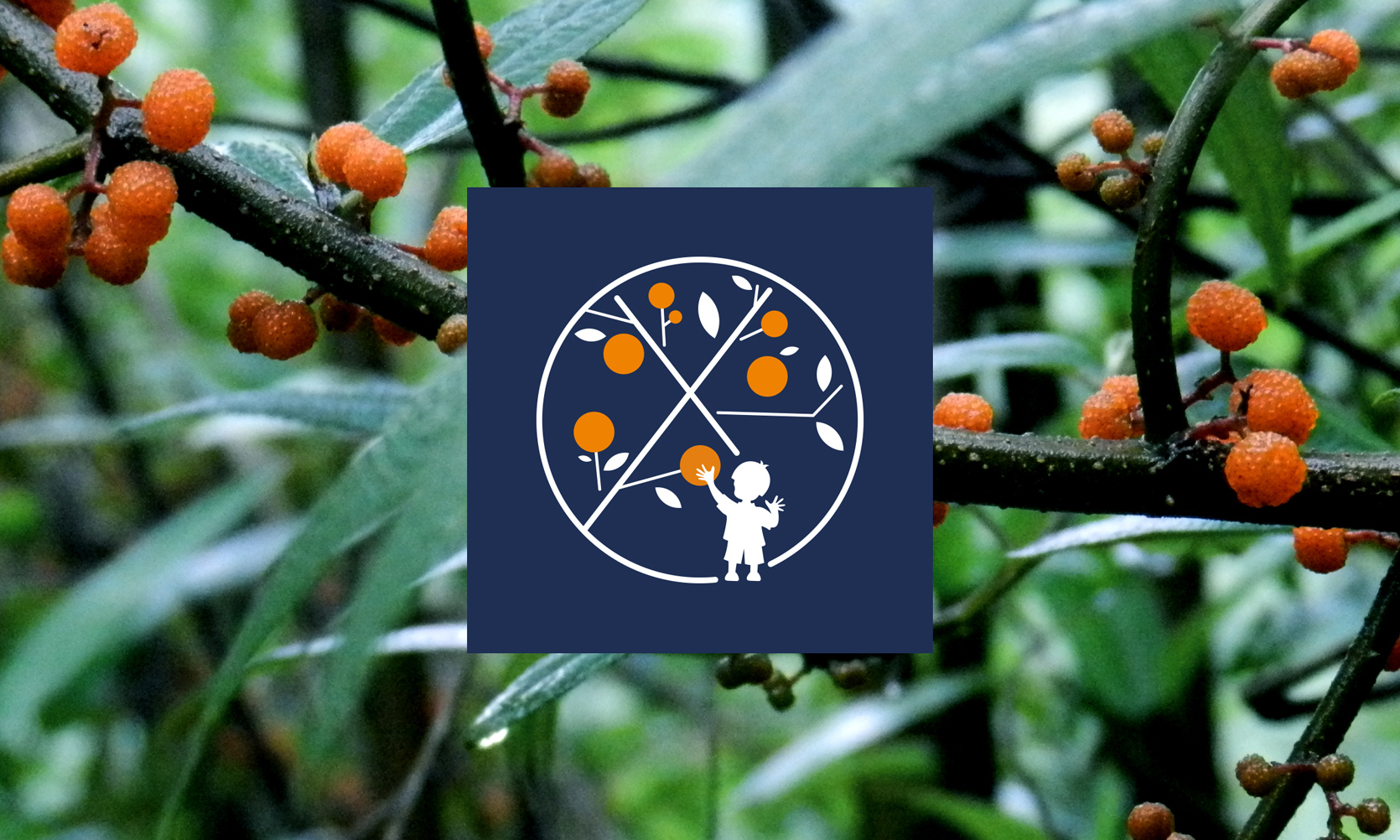 果汁品牌設(shè)計，新式茶飲品牌設(shè)計，奶茶品牌設(shè)計，奶茶品牌logo設(shè)計，飲品品牌logo設(shè)計