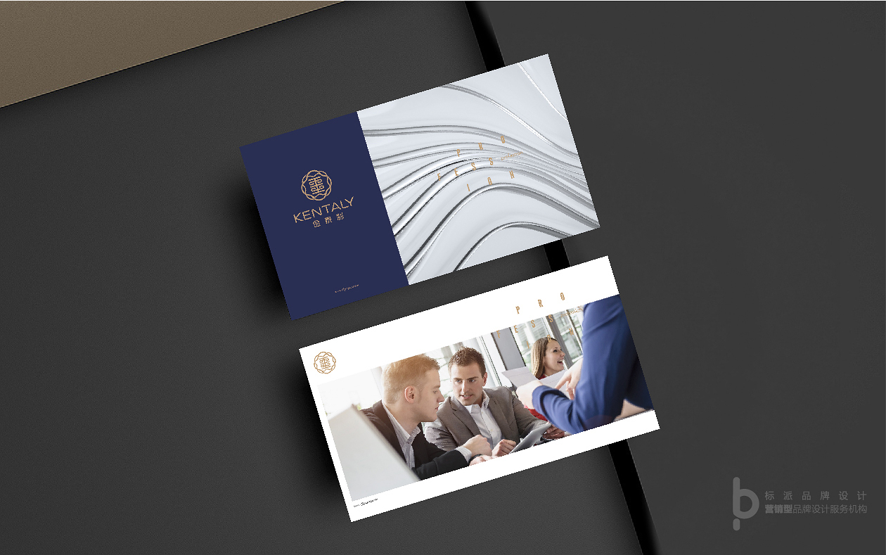 深圳vi設(shè)計公司,企業(yè)形象設(shè)計,標志logo,品牌策劃,標派視覺品牌設(shè)計公司