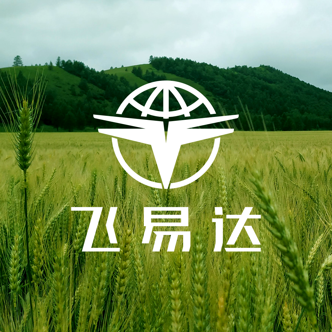 飛易達(dá)品牌LOGO設(shè)計(jì)，無(wú)人機(jī)品牌VI設(shè)計(jì)，電機(jī)品牌VI設(shè)計(jì)公司