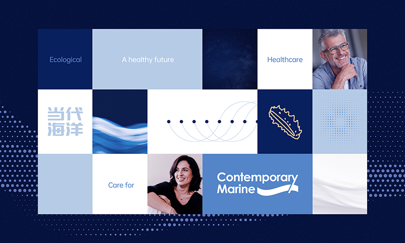 VI升級怎么做？